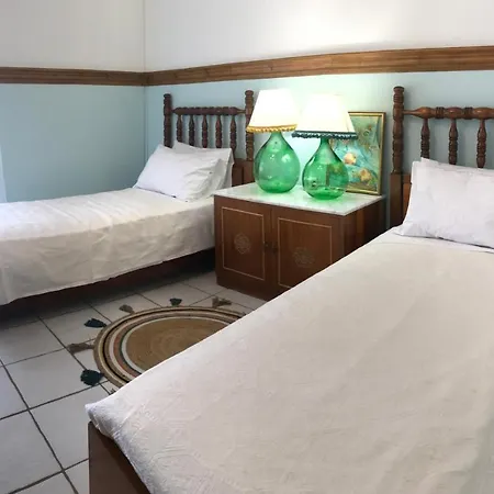 Iris Metaxaki Chania *